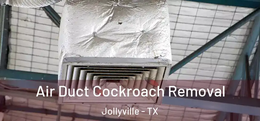  Air Duct Cockroach Removal Jollyville - TX