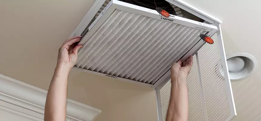 Preventive Cockroach-Proofing for Ducts in Jollyville