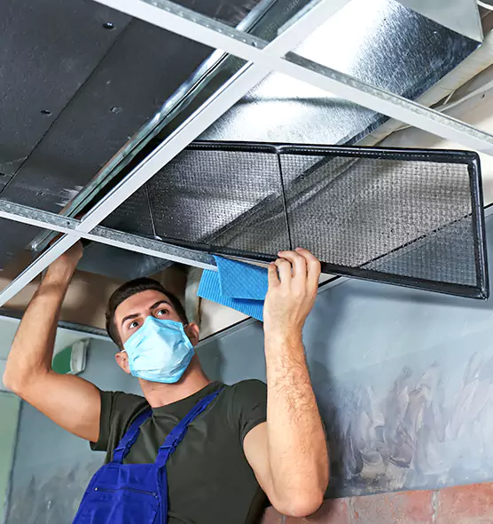 About Air Duct Bacteria Removal in Jollyville