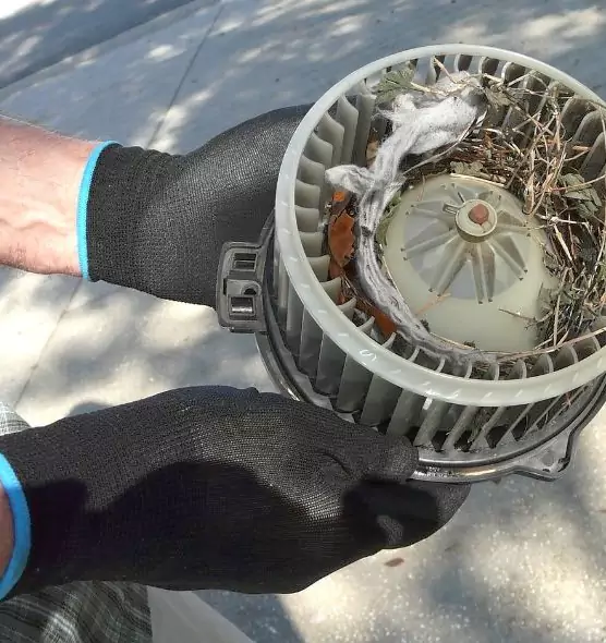 About Air Duct Mice Removal in Jollyville, TX