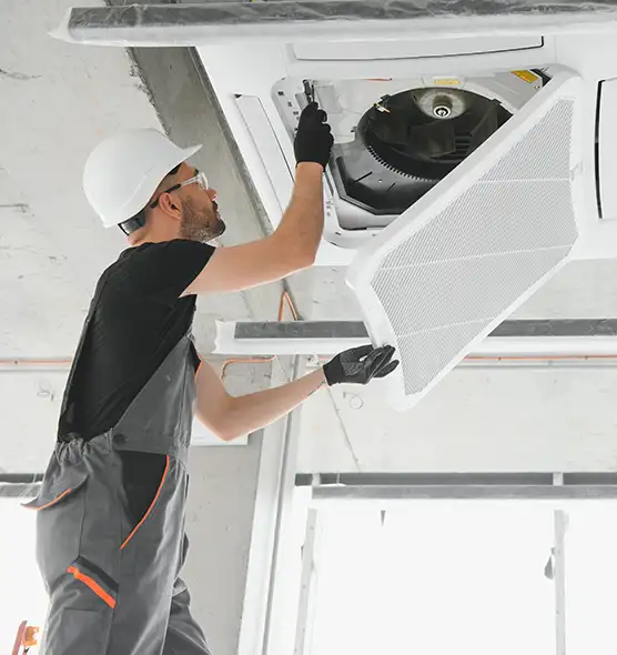 About Air Duct Rodent Removal in Jollyville, TX