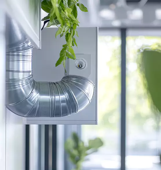 Professional Eco-Safe Dryer Vent Cleaning in Jollyville, TX