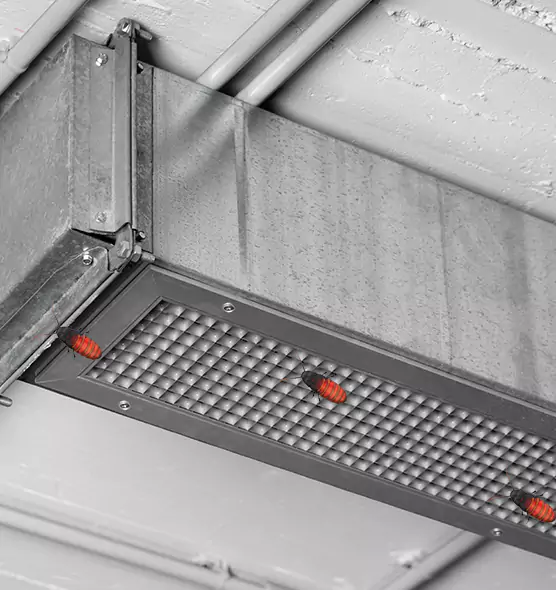Affordable Insect Removal from Air Ducts in Jollyville, TX