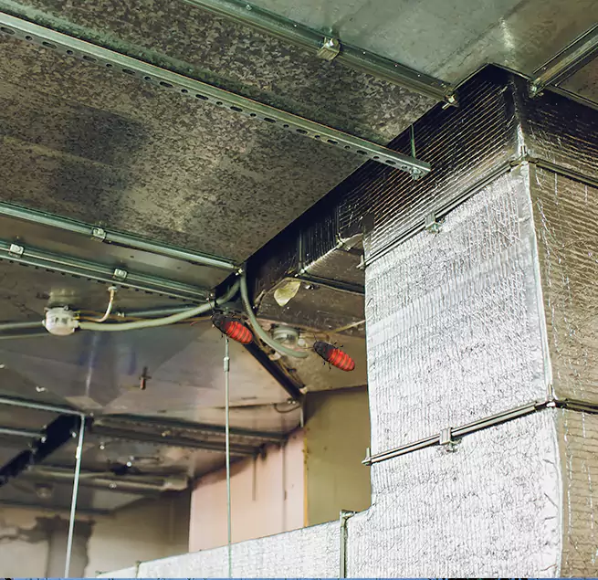 Why Homeowners & Businesses Trust Us in Jollyville, TX?