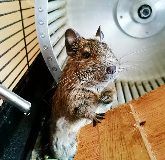 Why Homeowners & Businesses Trust Us Jollyville, TX?