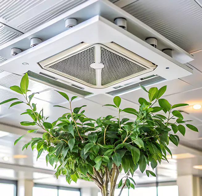 Why Homeowners & Businesses Trust Us in Jollyville, TX