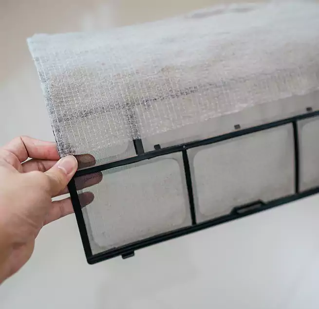 Why Homeowners & Businesses Trust Us in Jollyville, TX?