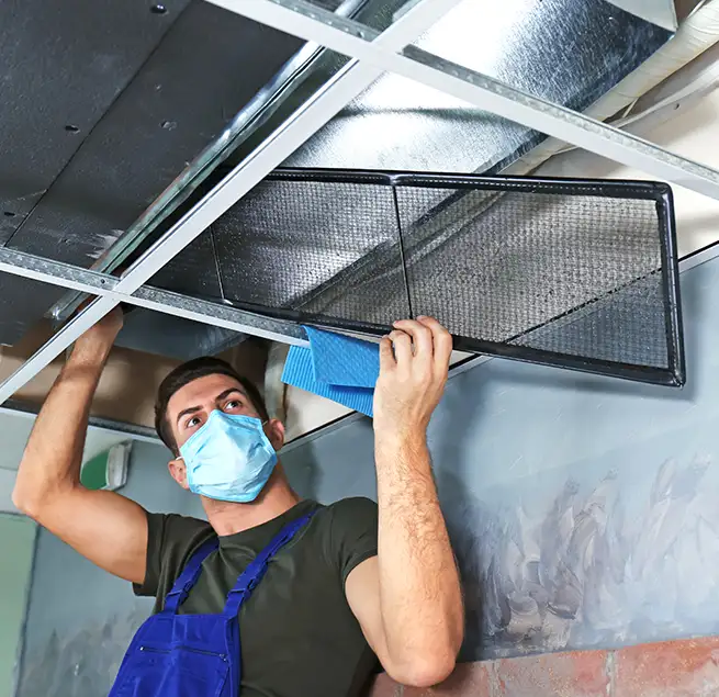 Why Homeowners & Businesses Trust Us in Jollyville, TX?