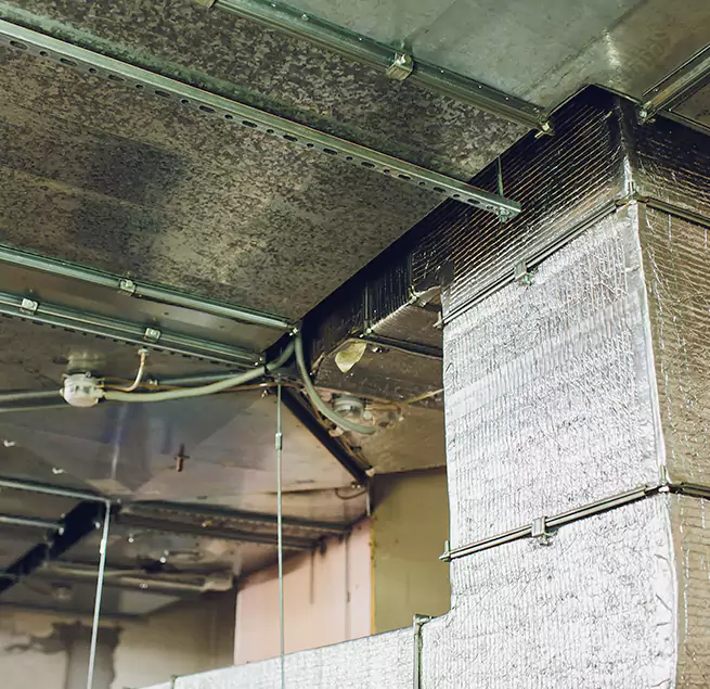 Why Homeowners & Businesses Trust Us in Jollyville, TX?