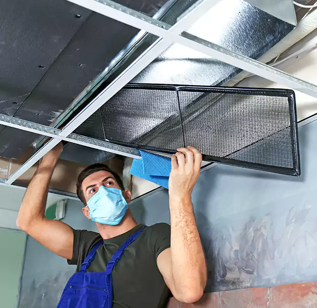 Why Homeowners Businesses Trust Us in Jollyville, TX