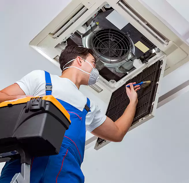 Why Homeowners & Businesses Trust Us in Jollyville, TX?